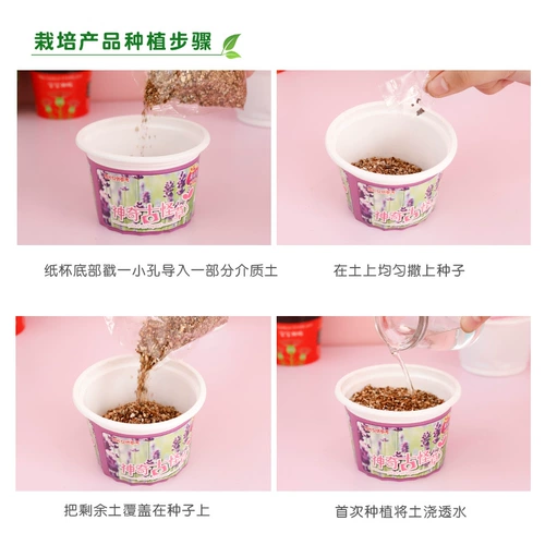 Призы на начальной школе творческие детские подарки детские детские детские подарки подарки для выпускников.