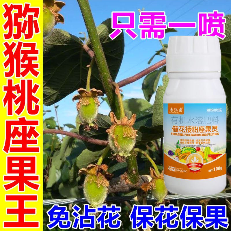 猕猴桃授粉座果精红心高活性花粉授粉人工授粉雄花粉保花保果防落