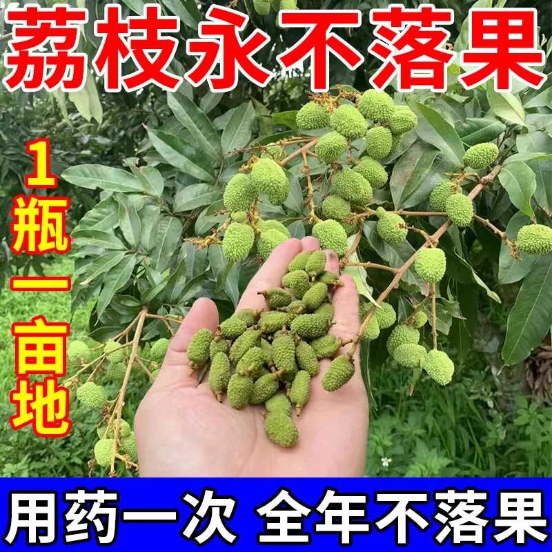 荔枝座果灵果树无需沾花保花保果防落果防裂荔枝树授粉剂专用肥料
