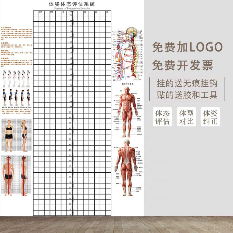 中医馆姿势矫正体态评估表正骨身体评估图健身房瑜伽私教体测评估
