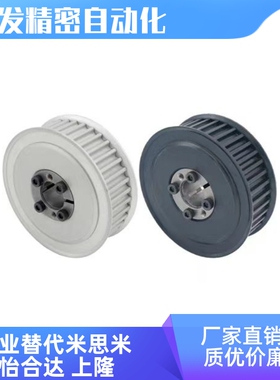 TAES5M-22 24 25 26 28 30 32 34 40-100 150 250-D免键同步带轮