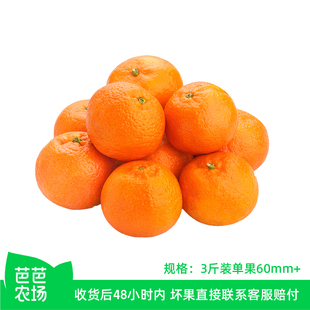 【芭芭农场】云南宾川沃柑3斤单果60-65mm 花斑为正常现象