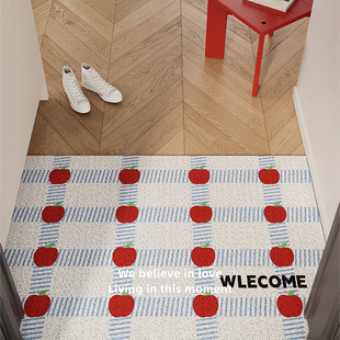 ins风几何格纹入户地垫丝圈防滑脚垫进门玄关门口可裁剪定制地毯