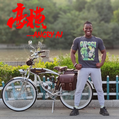 进口自行车哈雷风格南非经典