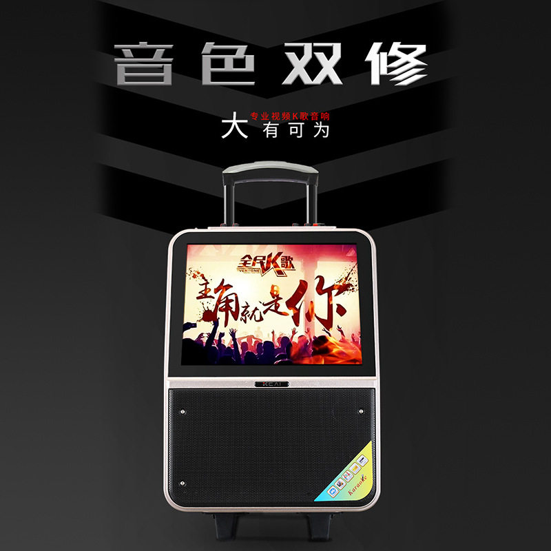 外贸同屏音箱蓝牙带话筒手机连接K歌音响便携式拉杆音响厂家直供