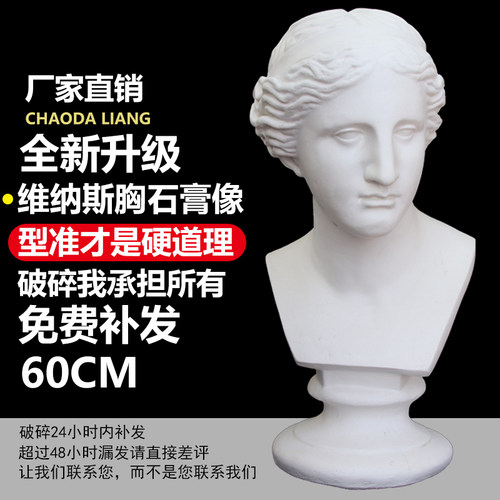 维纳斯胸像摆件美术教具素描速写