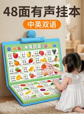 有声挂本可挂可摆方便自知