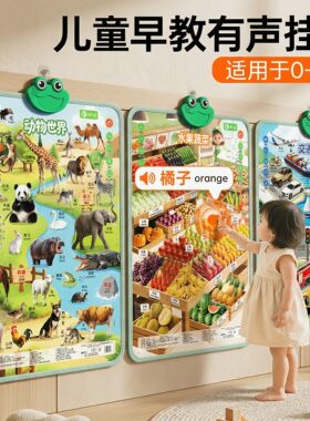 儿童早教有声挂图分龄启蒙