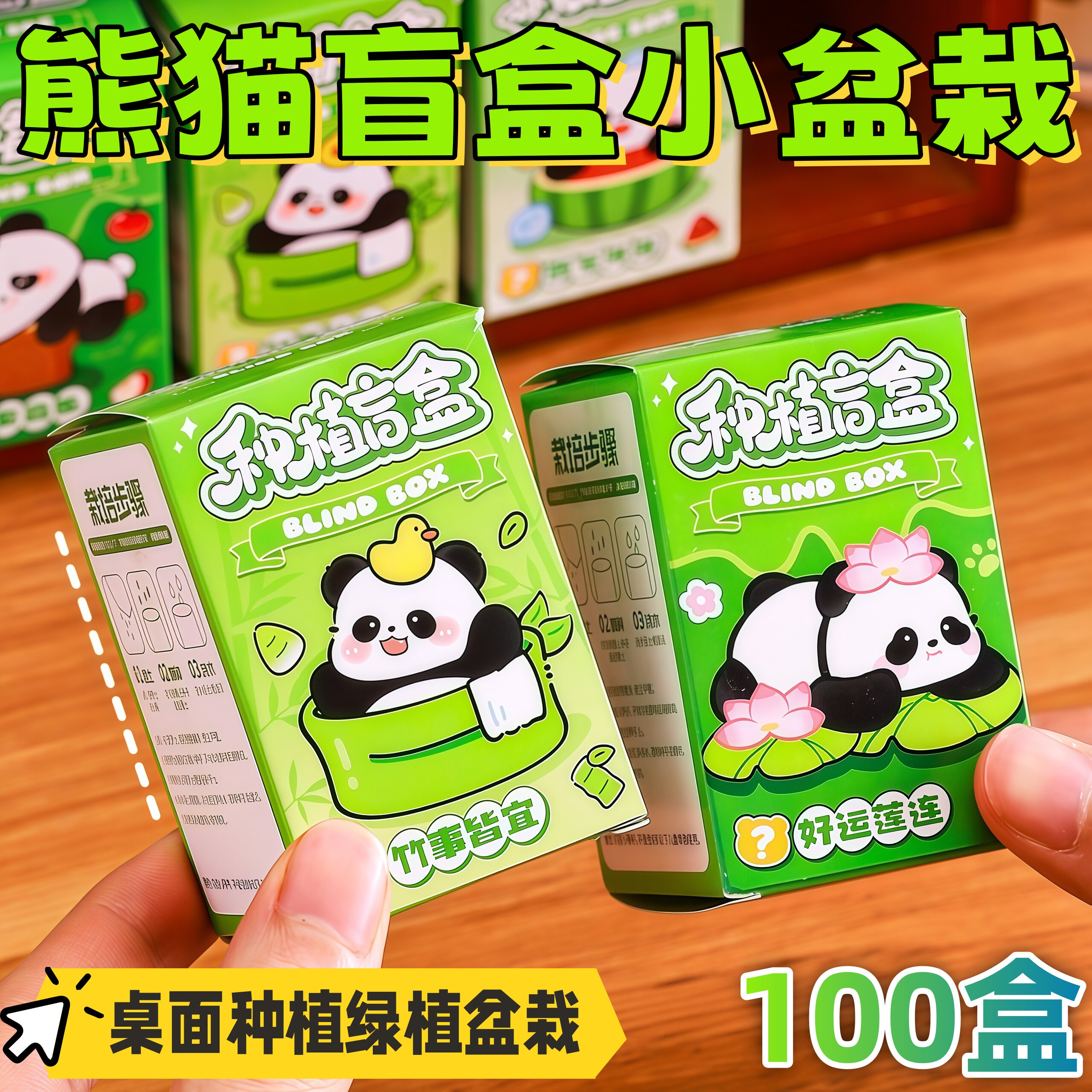 教师节盲盒奖励小学生绿植套装