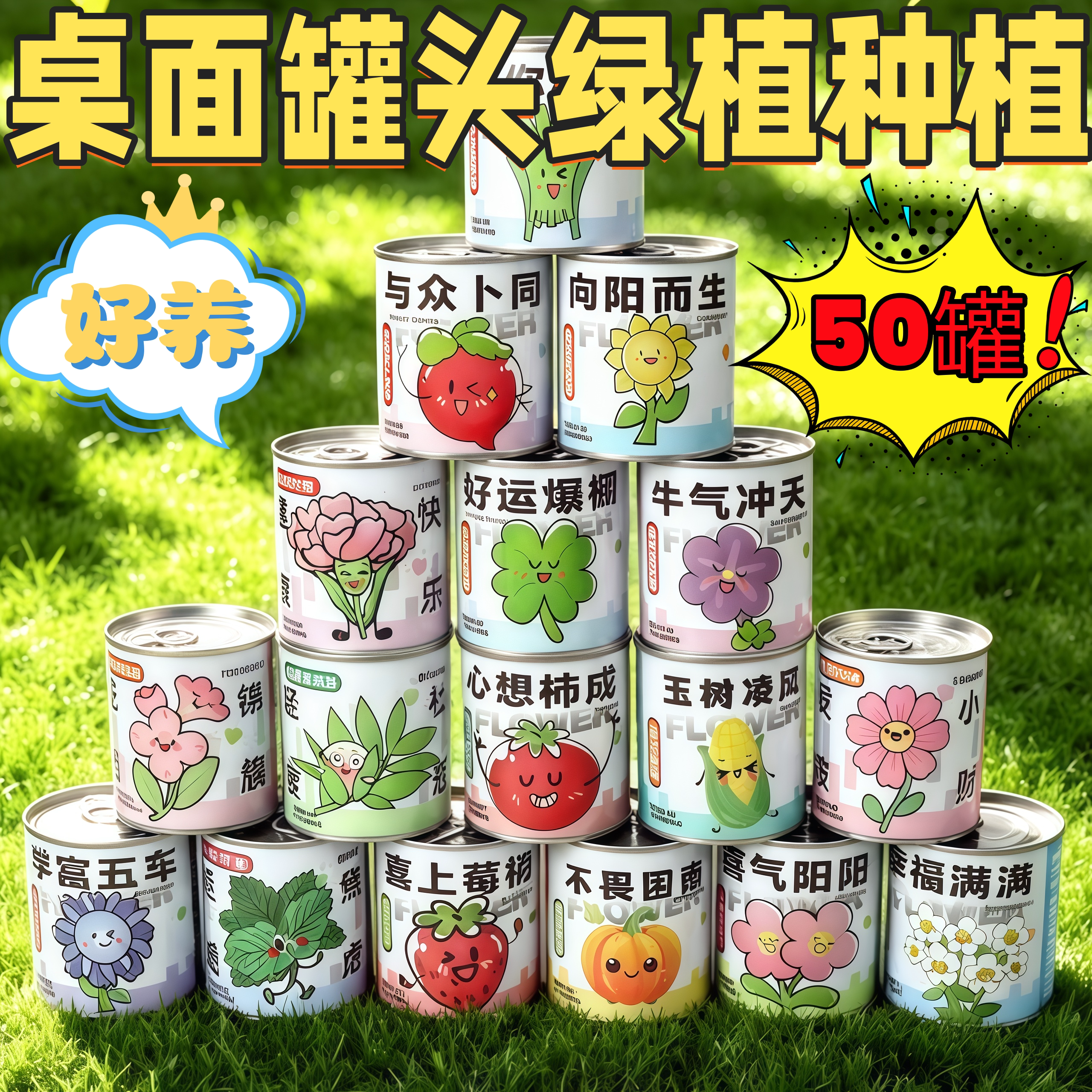 新手水培桌面盆栽净化空气
