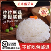 大米2025年新米猫牙米长粒香大米丝苗米籼米煲仔饭专用米5kg 10kg