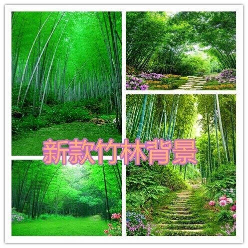 山水画挂布主播直播背景布拍视频摄影背景外景风景竹林3d立体背