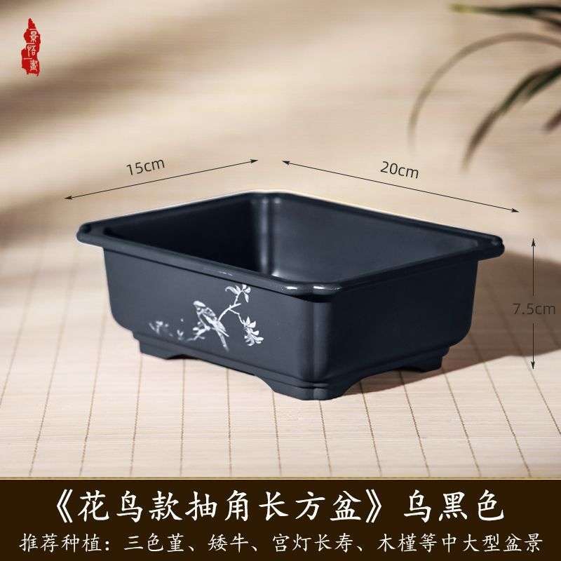 小叶簕竹专用花盆家用长形长方形