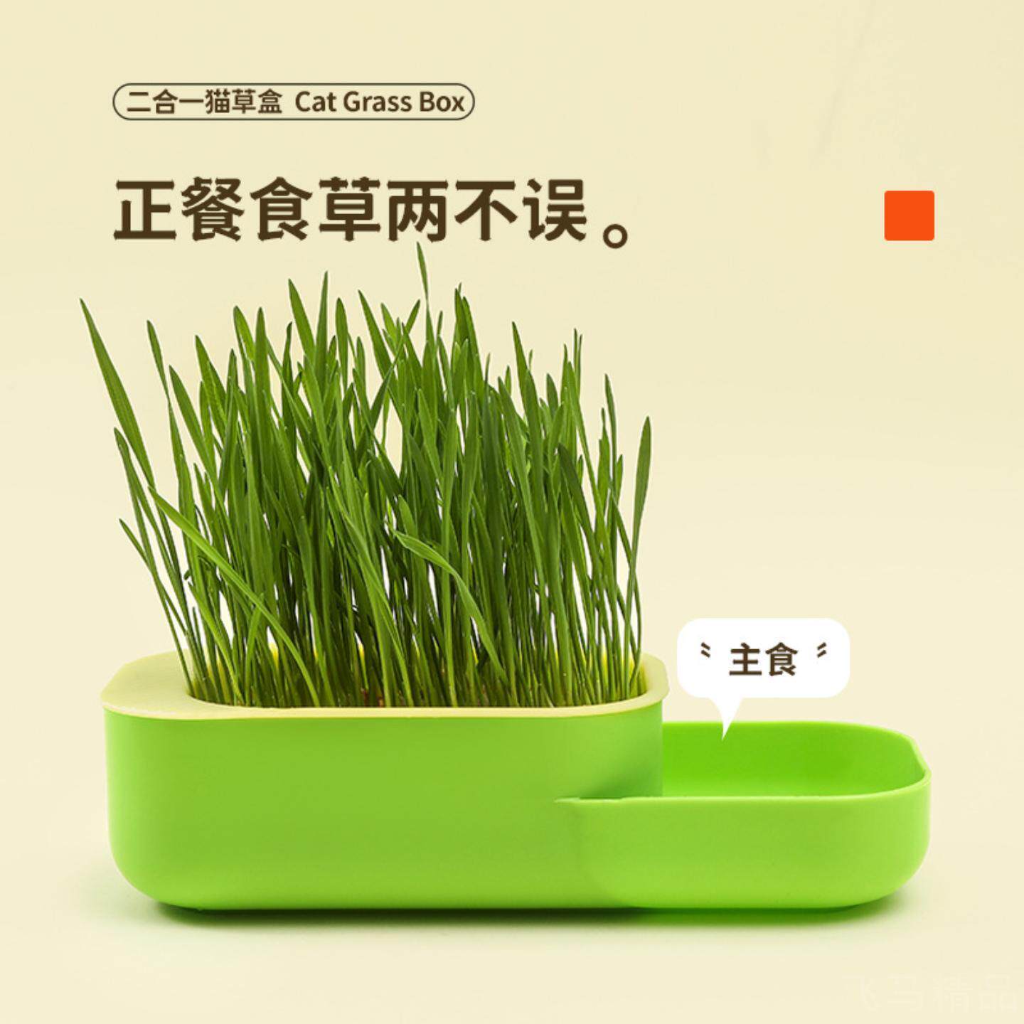 新款猫草盒水培种植盆栽套装｜含