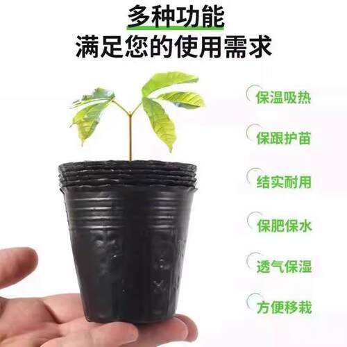 育苗盘塑料穴盘营养钵蔬菜育种盆