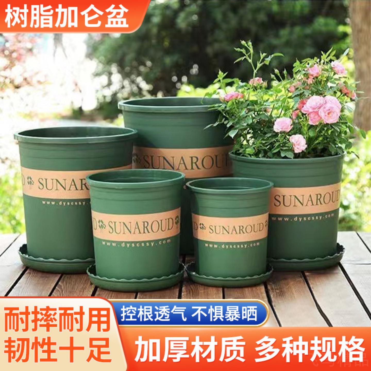 加仑盆玫瑰月季多肉植物专用阳台