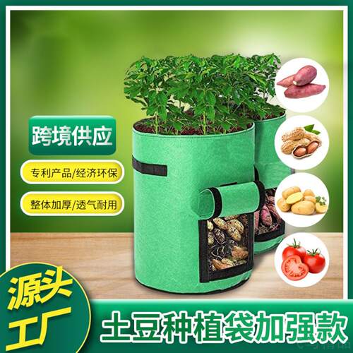 土豆种植袋加仑纺布园艺美植袋防