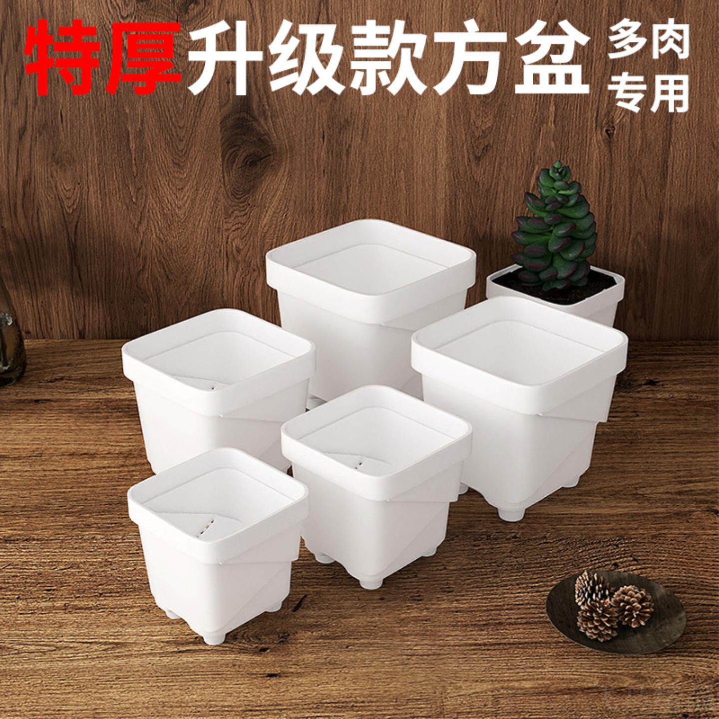 特厚多规格多肉专用花盆阳台园艺