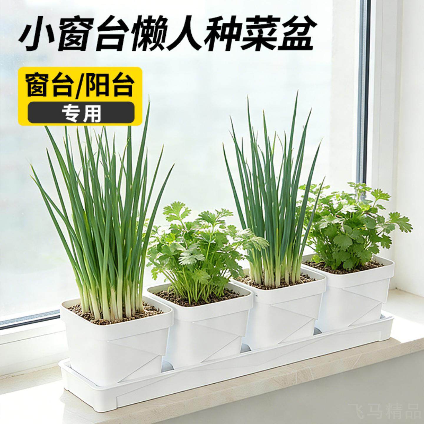 多肉葱花专用长方形阳台塑料家庭