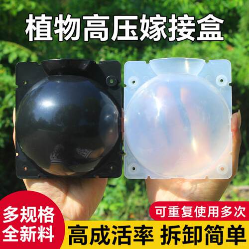 植物高压繁殖盒树木高空压枝生根