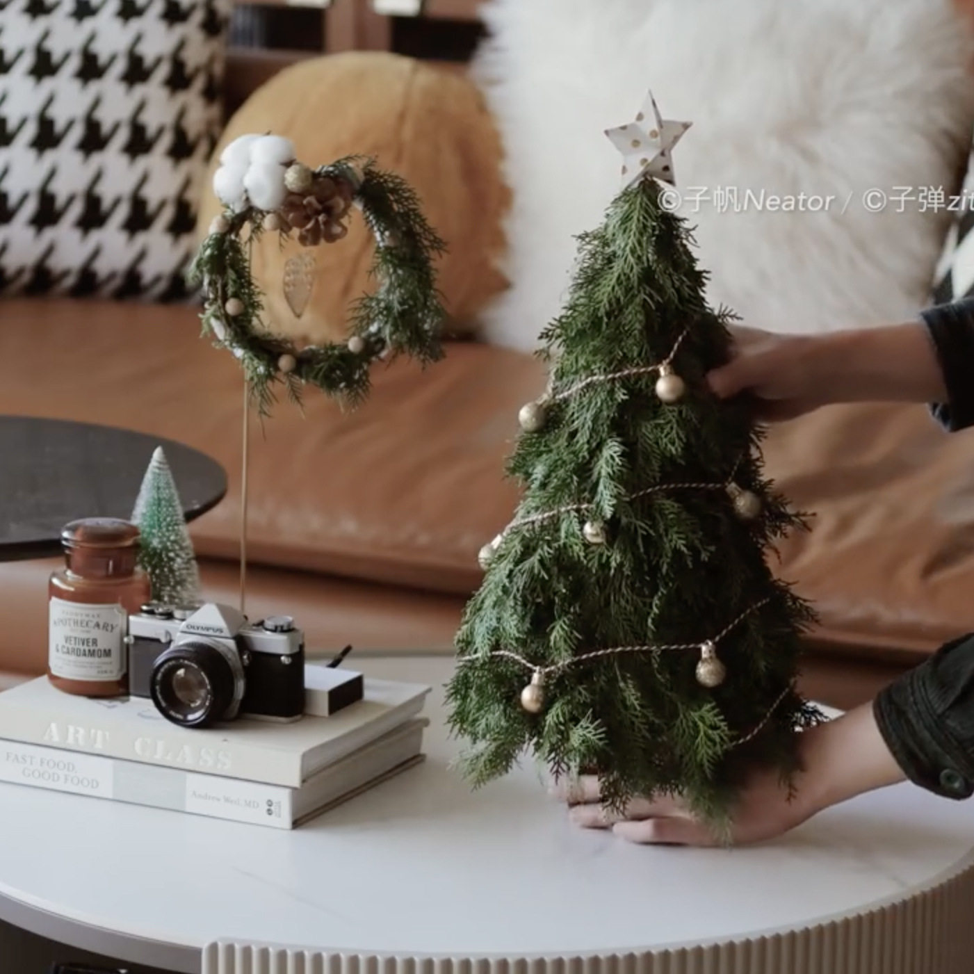 圣诞树枝新鲜侧松柏叶松针杉松枝真花圣装饰材料拍摄手工