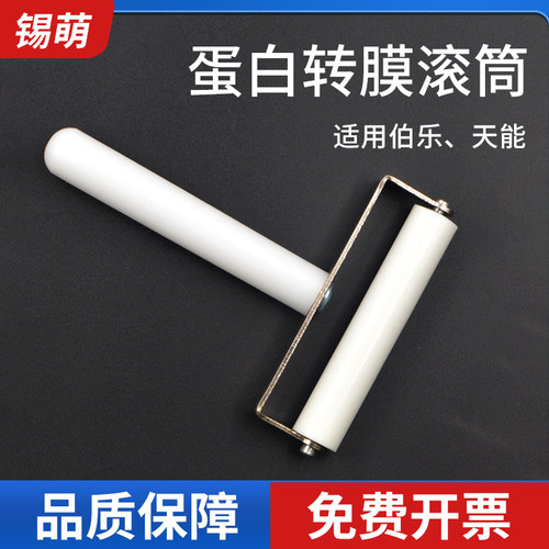 锡萌WB蛋白转膜滚筒7/8cm