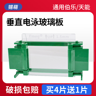 天能 rad 锡萌实验Western Blot玻璃板垂直槽电泳制胶凝胶蛋白跑胶长板厚板短板薄板电泳制胶齿梳通用伯乐bio