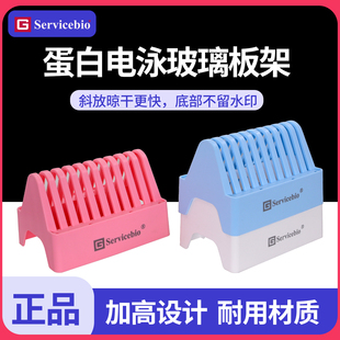 蛋白垂直制胶玻璃板架干燥架晾干架 WB多彩电泳玻璃板沥水架 晾片架 blot实验专用 赛维尔Servicebio western