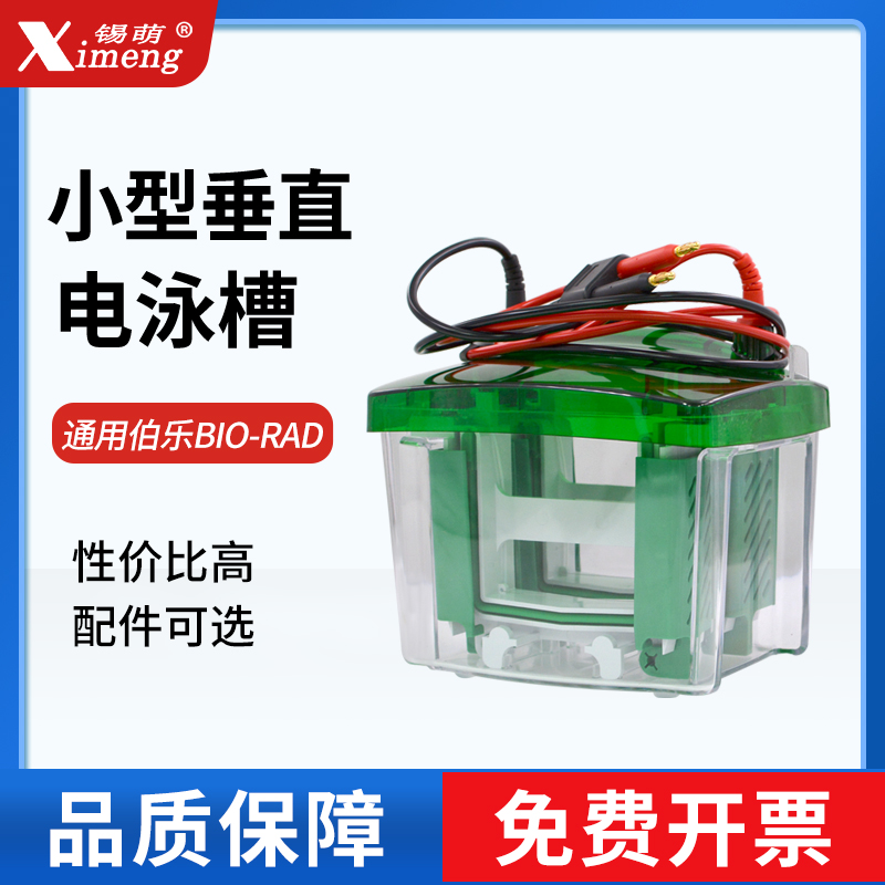 小型垂直蛋白電泳槽通用伯樂