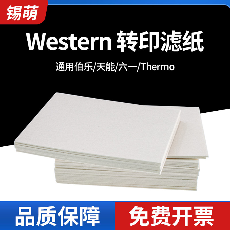 WB转印滤纸westernblot转膜滤纸图片