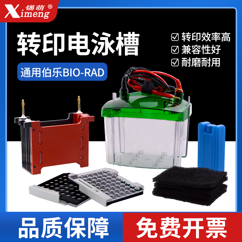 国产小型蛋白转印电泳槽