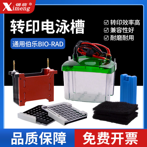 国产小型蛋白转印电泳槽
