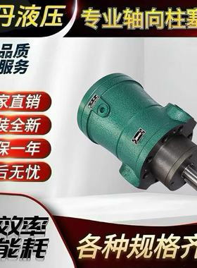 2.5MCY 5YCY 10MCY 25MCY  63MCY 80MCY 160MCY14-1B轴向柱塞泵