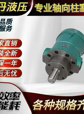 2.5MCM 10MCM 25MCM 100MCM 108MCM 160MCM14-1B柱塞泵马达