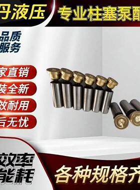 HY10/16/25/40/63/80/100/107/125/160/180/250M/S/Y-RP柱塞滑靴