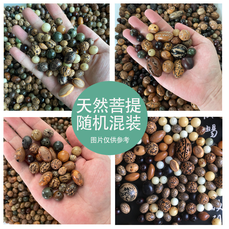 多种菩提子混装随机搭配金刚无患子菩提根凤眼龙眼星月血丝垒德株