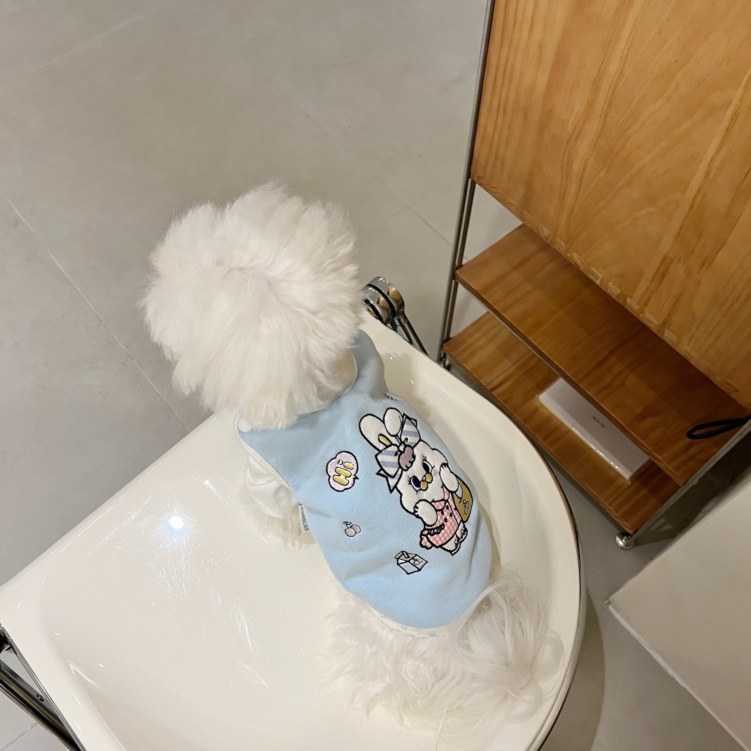 秋冬新款宠物猫小狗比熊泰迪小型犬可爱刺绣加绒套头卫衣外套马甲