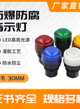 8030防爆信号灯指示灯24V36V220V380V防爆配电箱LED灯ExdbebIICGB
