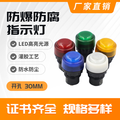 防爆24V220V指示灯信号灯配电箱