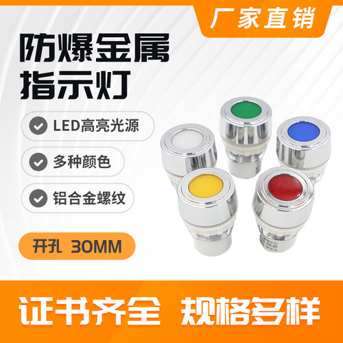 金属IP66级8050防爆LED指示灯