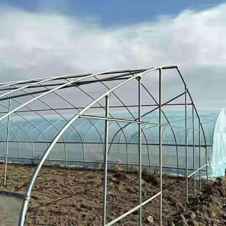 极速种植椭殖养圆管全套栋骨t架农业蔬菜大棚连体钢管连温室棚定