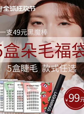 双十巴斯夫进口睫毛LASHWINGS