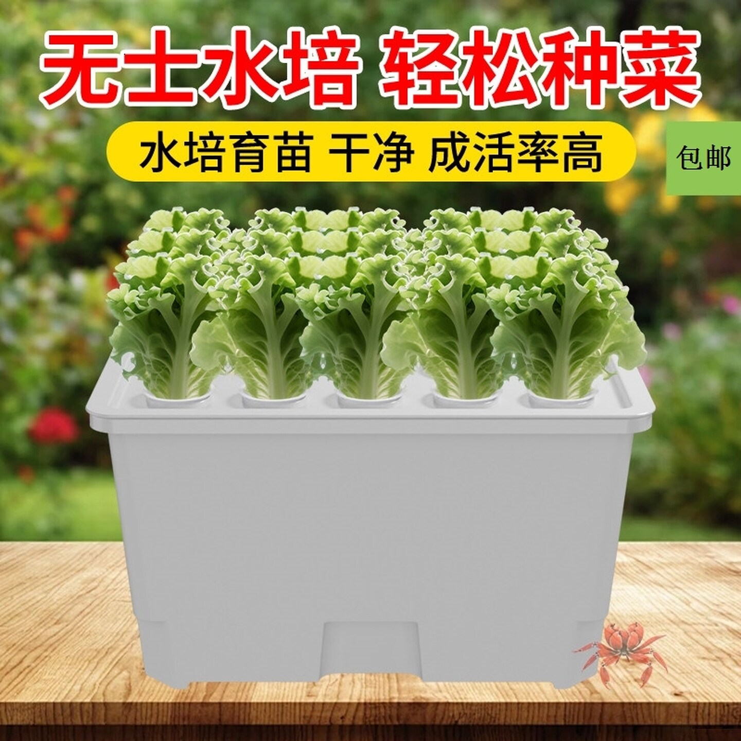 水培育苗盘无土栽培容器育苗箱盒花盆加大种植箱阳台绿植花卉种菜