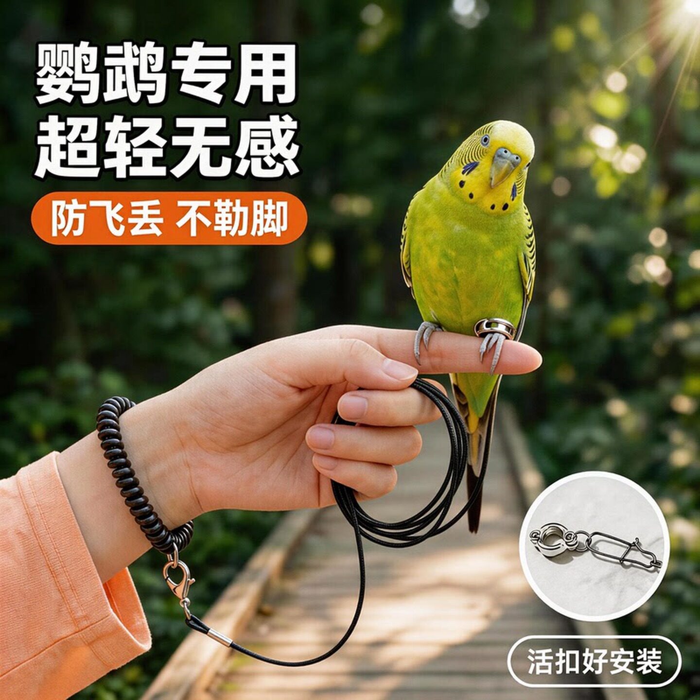 鹦鹉放飞溜鸟绳牵引绳外出放飞溜鸟绳小鸟玄凤小太阳超轻脚环脚链
