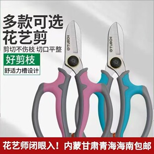 花艺师专用花枝剪刀粗枝条鲜花店园艺修枝除刺剪花艺辅材花店用品