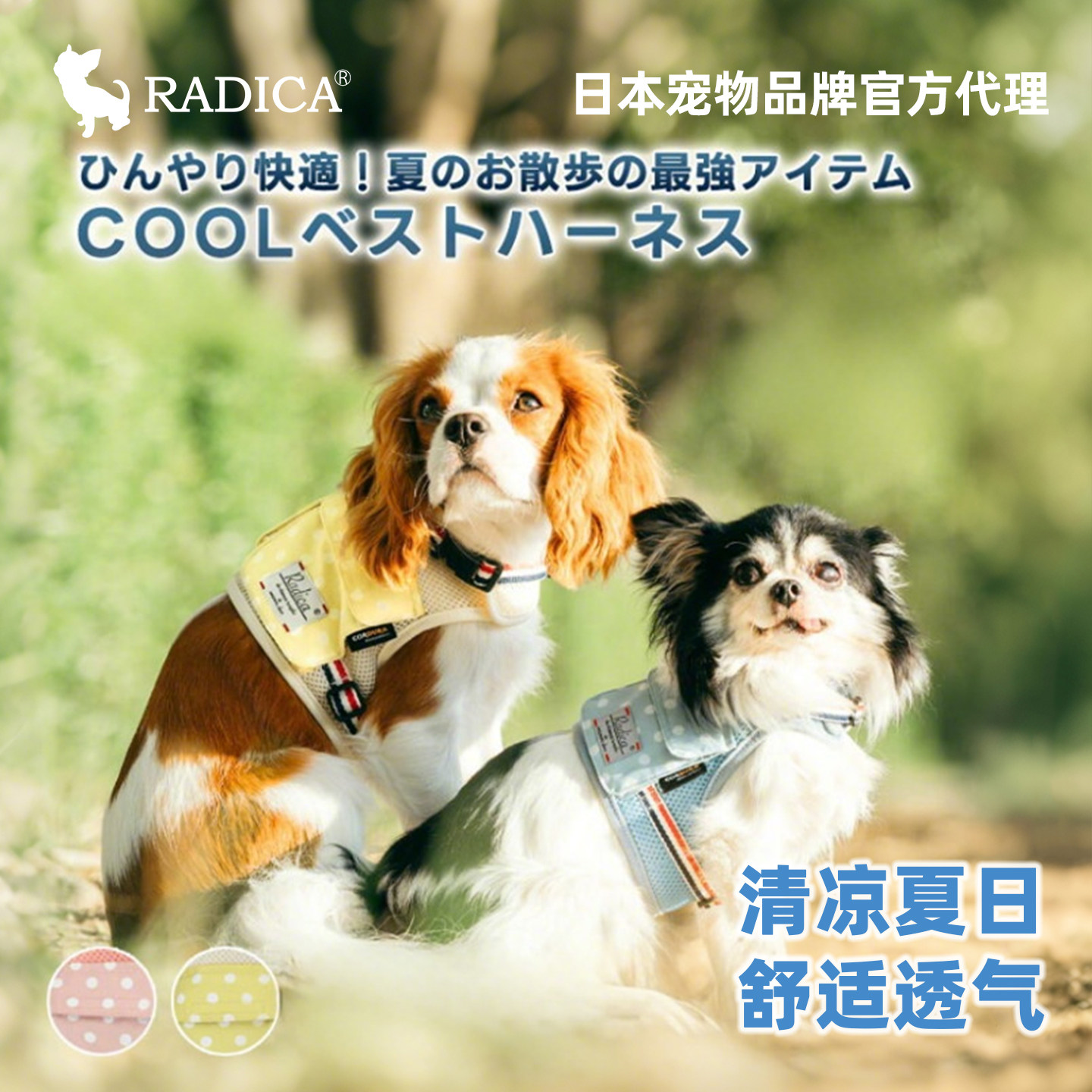 Radica乐蒂卡中小型犬胸背衣牵引夏季舒适透气凉爽狗狗