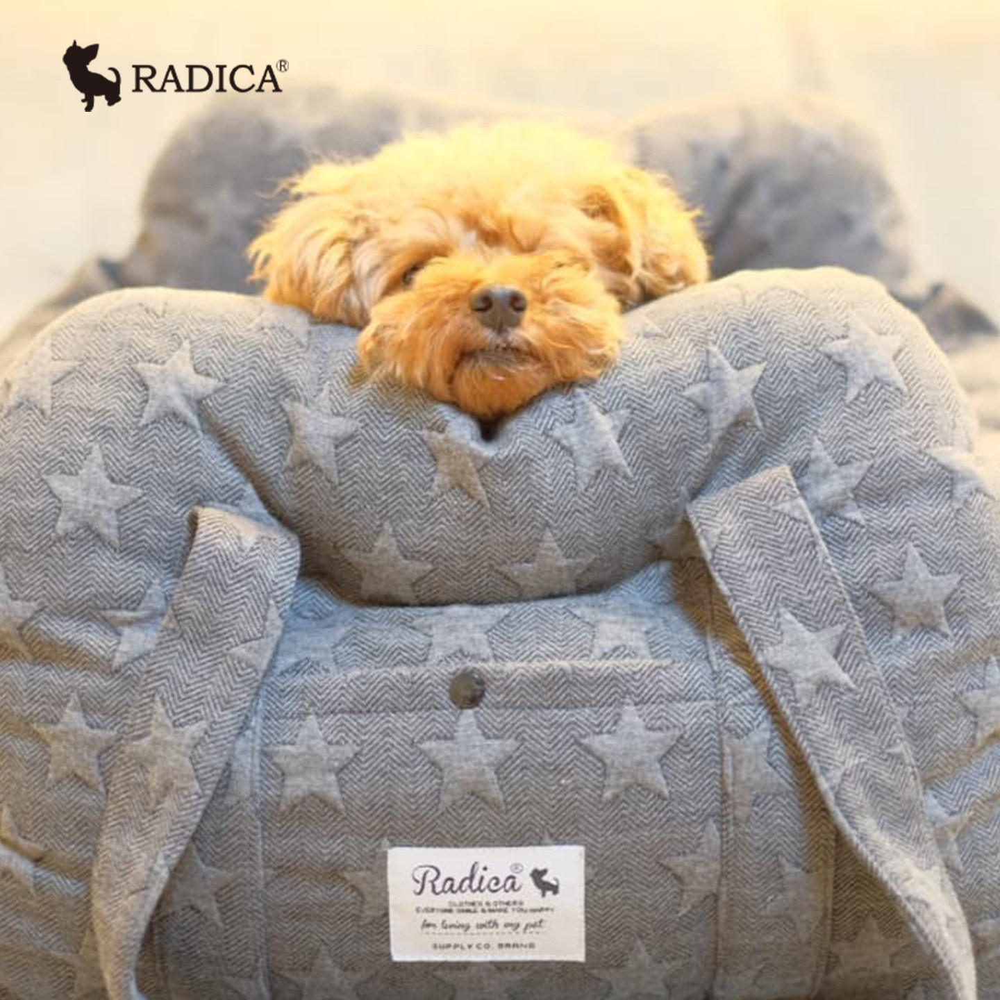 Radica猫狗小型犬车载窝