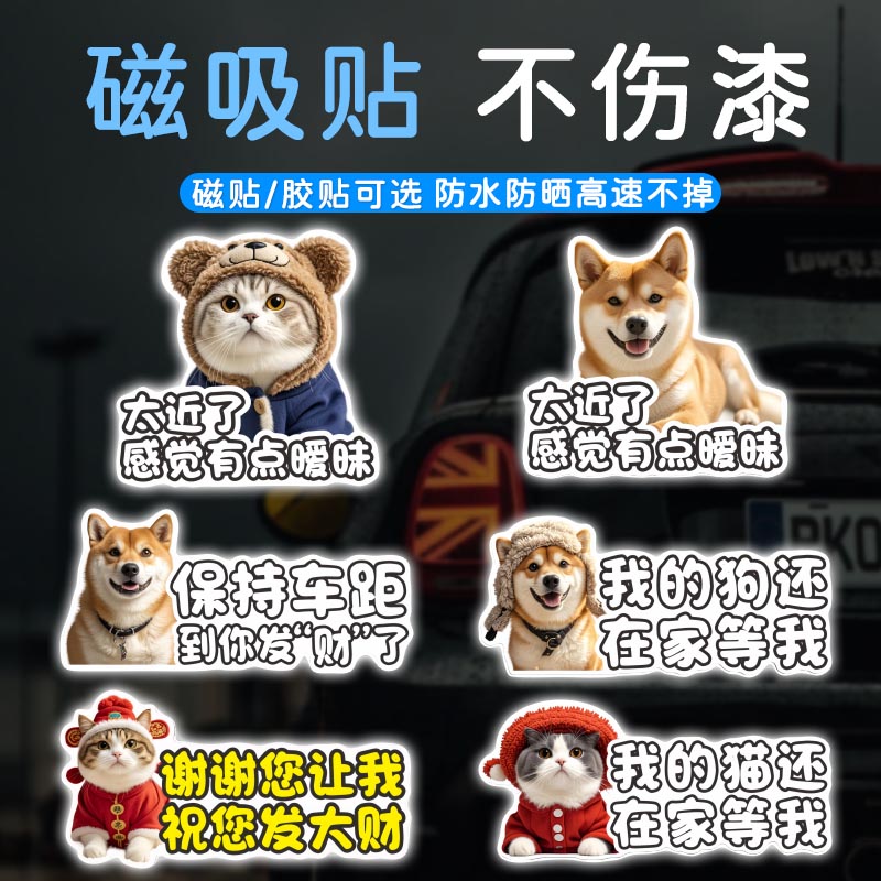 宠物搞笑车尾磁吸车贴太近了感觉有点暧昧两狗对视汽车个性贴纸