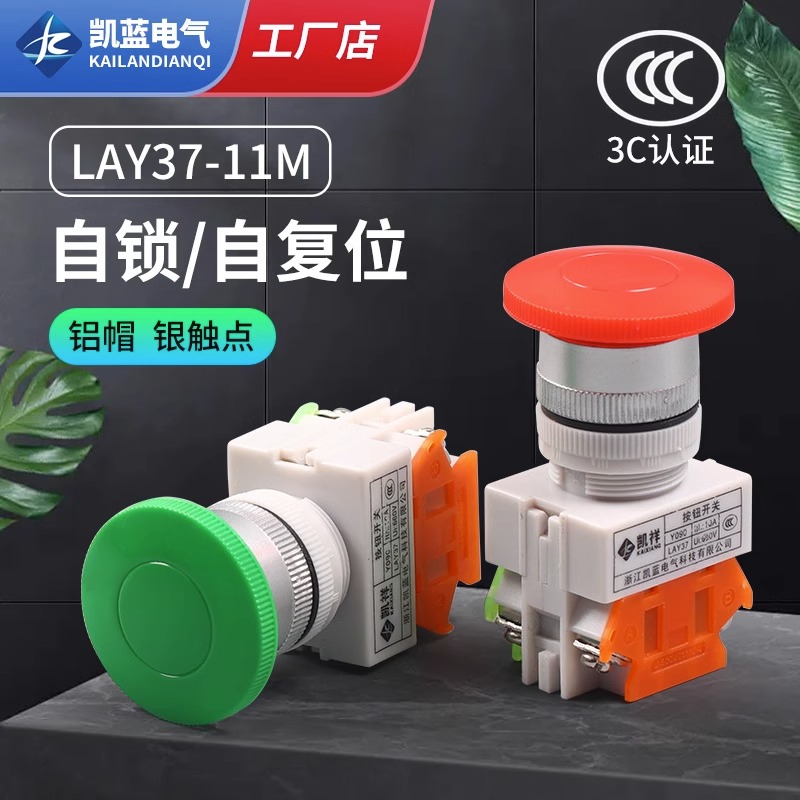 蘑菇头按钮开关自锁/自复位