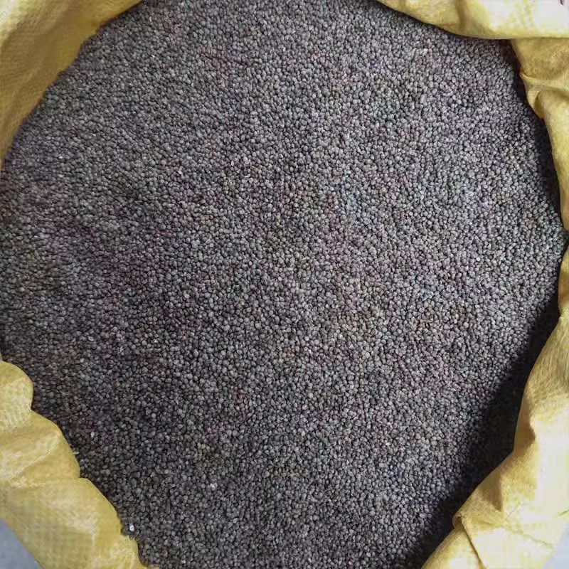 酥麻籽黑苏麻引子紫苏籽